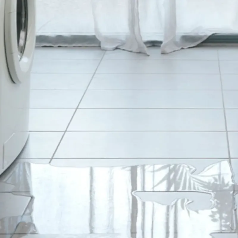 Appliance Leak Cleanup in Stevensville, MD