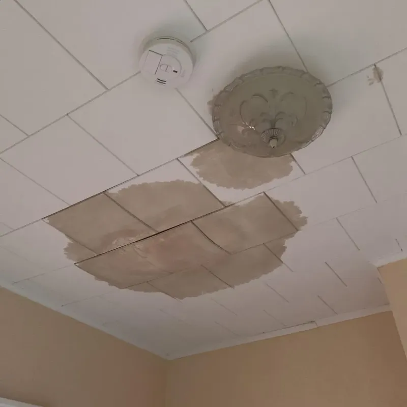 Ceiling Water Damage Repair in Stevensville, MD